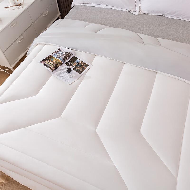 Corn Fiber & Polyester Winter Quilt
