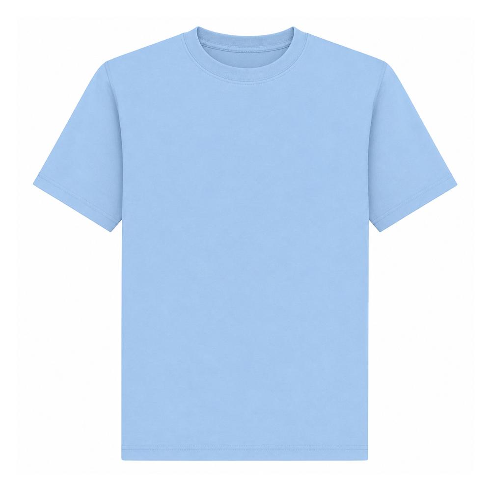 FRUIT OF THE LOOM Mens Original Short Sleeve T-Shirt