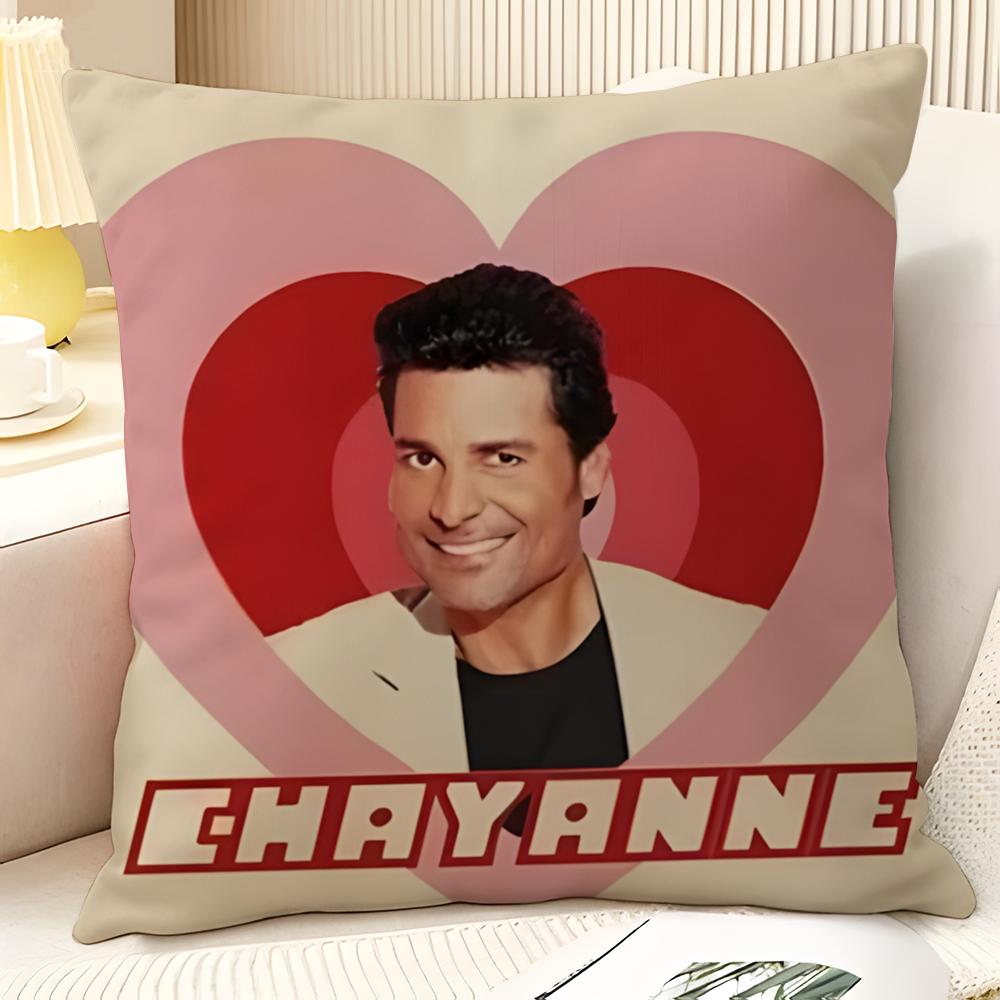 Latin Pop Music C-Chayanne 1 Pillow Case Natural Linen Organic Fabric Double-Sided Printing Sofa Home Decor Gift Pillow Case