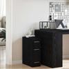 Pharmacy Cabinet Black Oak Effect 20 x 45.5 x 60 cm