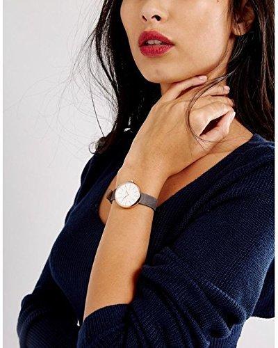 SKAGEN Signature Watch #SKW2644 (Parallel Import)