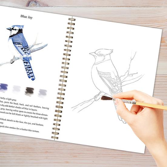 Watercolor Workbook for Beginners 12 Colors Watercolor Painting Set with Brush Birds Flower Animals Watercolor Book Art Crafts Supplies