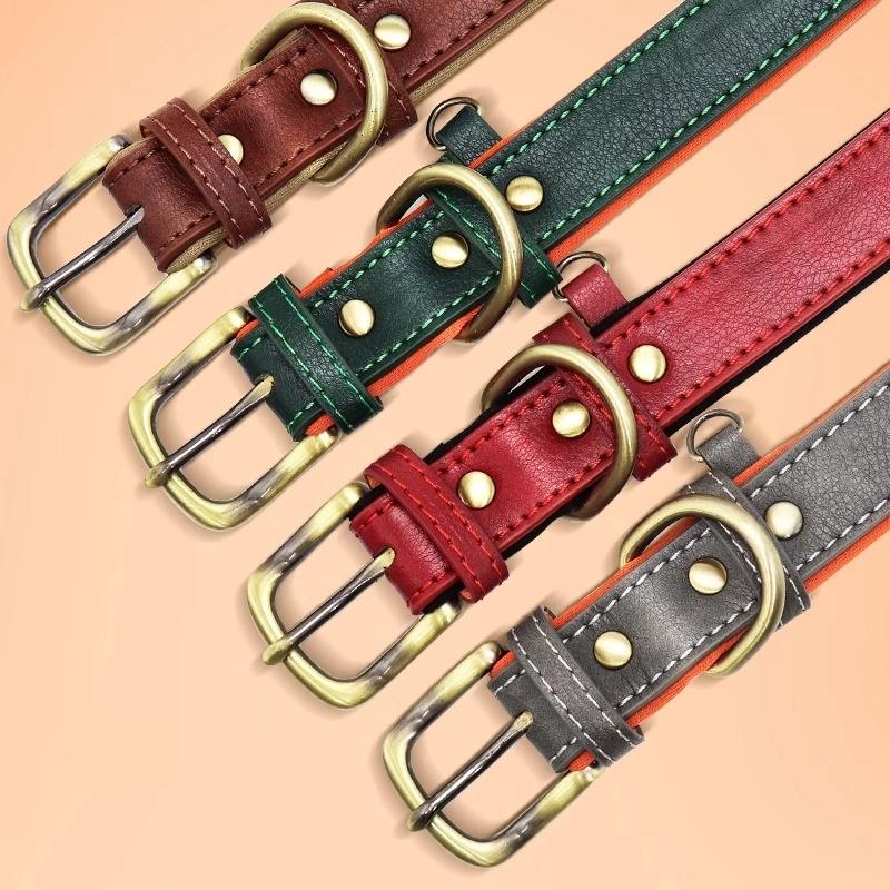 Personalized Custom Dog Collar with Engraved Lettering and Anti Loss Leather Collar