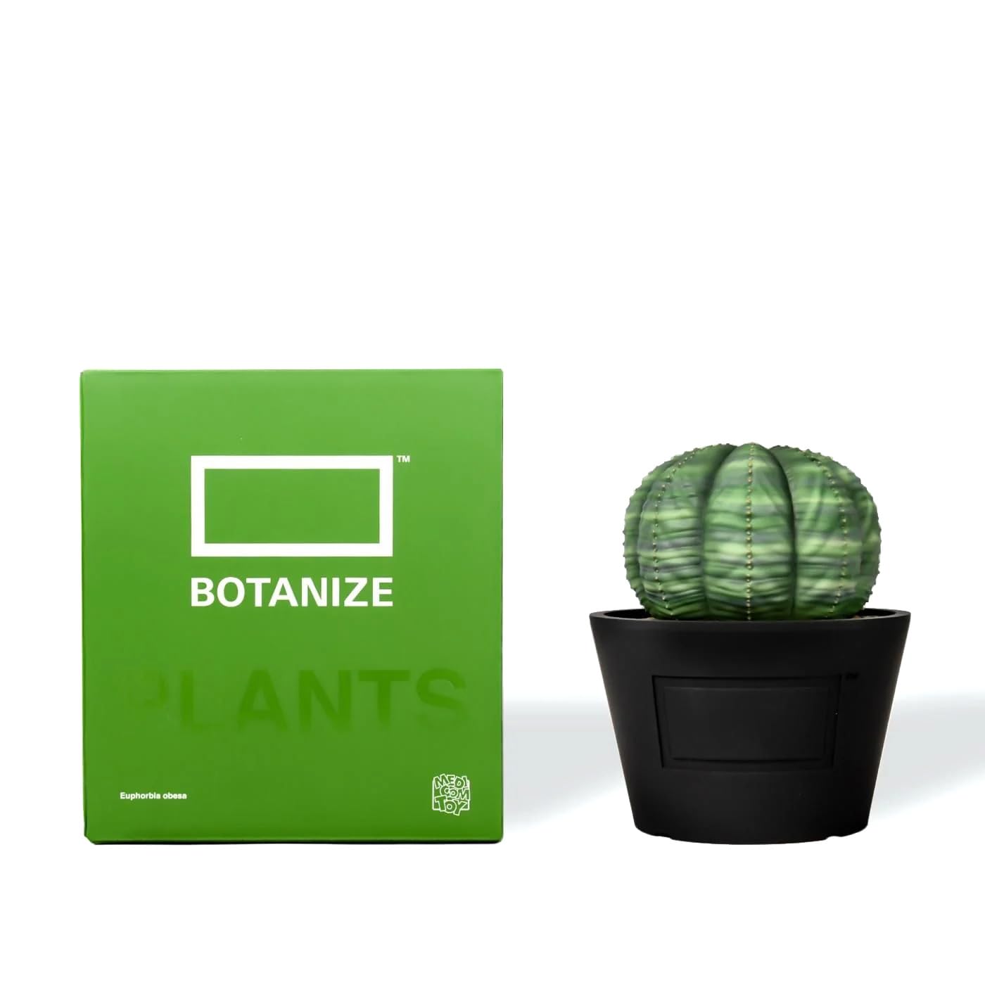 

MEDICOM TOY x BOTANIZE VCD Euphorbia obesa NORMAL Medicom Toy Botany Collaboration Euphorbia Obesa Figure var. & (Normal)