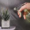 500ml Spray Bottle Watering Can Gardening Plant Flower Irrigation Mist Sprayer Household Disinfection Cleaning Hairdressing Tool