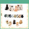Cute Cat Action Figure Wholesale Pvc Material Guangdong Yellow 5cm Toy