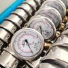 Guangshun Autoclave Radial Pressure Gauge (CN Version)