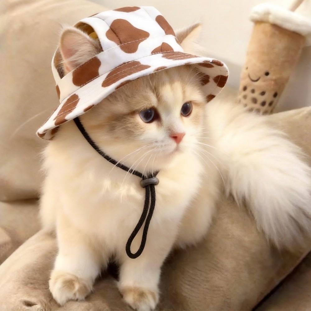 Ear Exposed Dog Fisherman Hat Adjustable Dog Sunscreen Hat Fashion Pet Sun Hat  Beach Activities