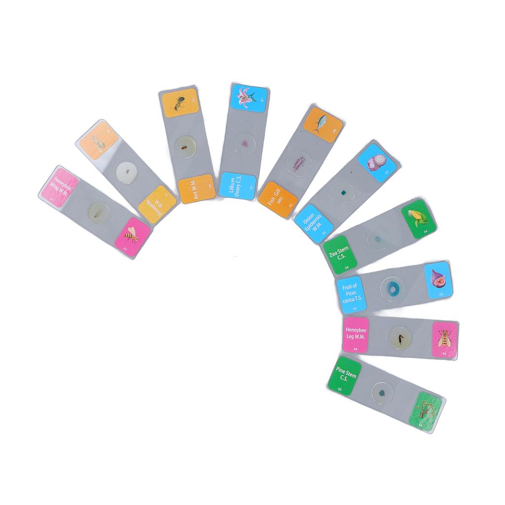 10Pcs Microscope Slides with Specimens Animal Plant Bug Glass Slides Laboratory Supplies for