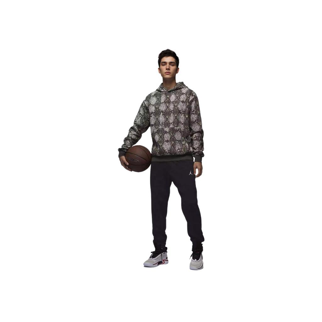 Jordan SS25 Quick-Dry Pullover Hoodie Men Hoodies Sail-White Carbon-Black HF9895010