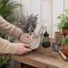 Schneckenstatue Blumentopf, Solare Gartenleuchte, Niedliche Schnecke hält Solarlaterne, Dekorative Harz-Blumentopf mit Warmem LED-Licht für Terrasse Balkon