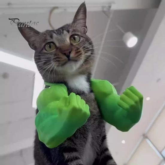 Kreative Katzen-Geburtstagsparty-Geschenke Lustige Muskelarme, Urkomische 3D-gedruckte muskulöse leichte Foto-Requisiten Schulterbefestigung für Katzen