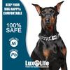 Stainless Steel Dog Chain Collar with Quick Release Buckle, Heavy Duty Anti-Rust Metal Chain Collar for Small Large Medium Dogs, Secure & Durable Dog
