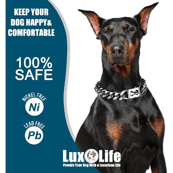 Stainless Steel Dog Chain Collar with Quick Release Buckle, Heavy Duty Anti-Rust Metal Chain Collar for Small Large Medium Dogs, Secure & Durable Dog