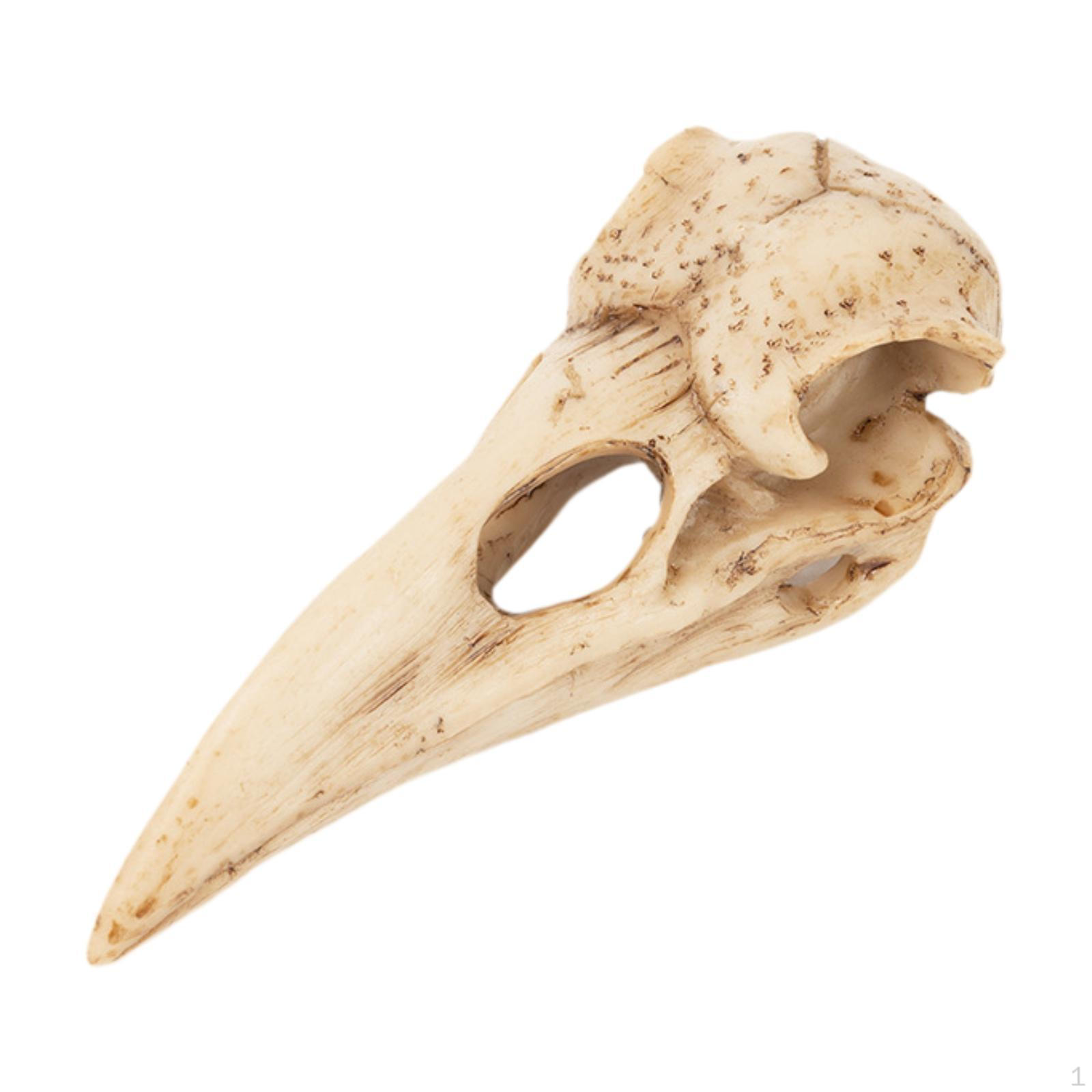 

Raven Statue Crow Pendant Halloween Decor Skeleton Model Resin Figurine,Hanging Wall Sculpture