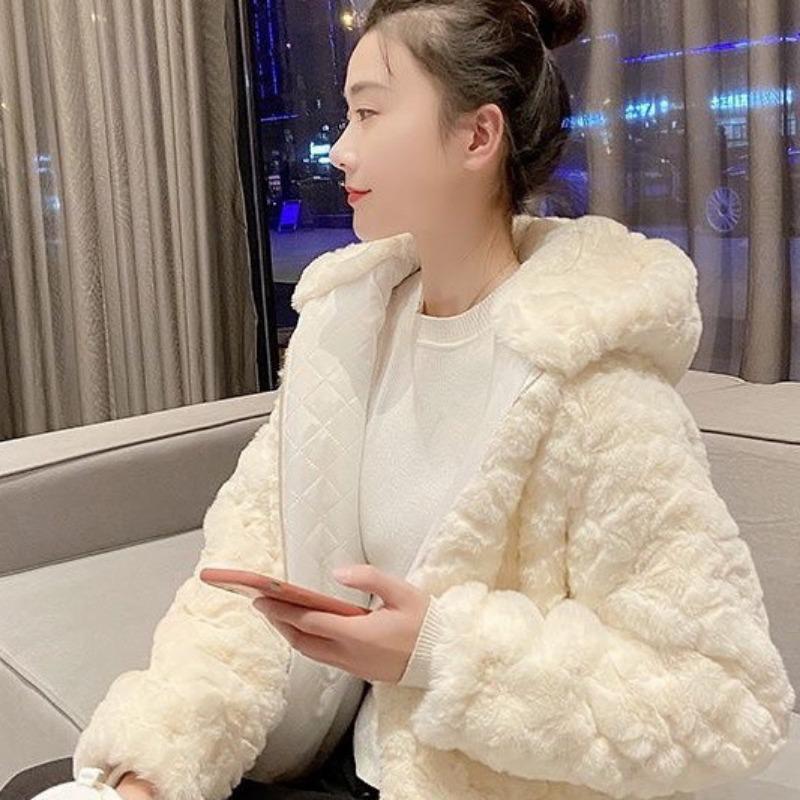 New thickened imitation Rex rabbit plush hooded short student milk whirring lamb wool cute casual imitation fur