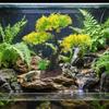 Artificial Plant Aquascaping Ornaments Colorful Fish Tanks Accessory for Freshwater Fish Habitat Enhancement