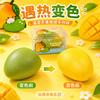Mango Squeeze Toy Color Changing Stress Relief Sensory Fidget Ball Simulation Fruit Handmade for Students