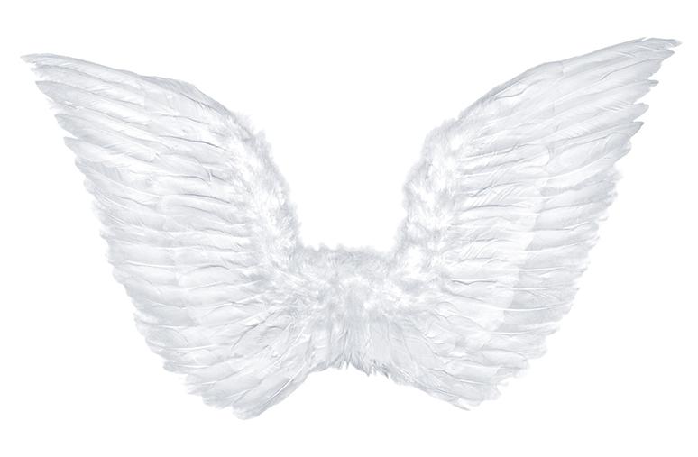 Angel Wings 1 Piece