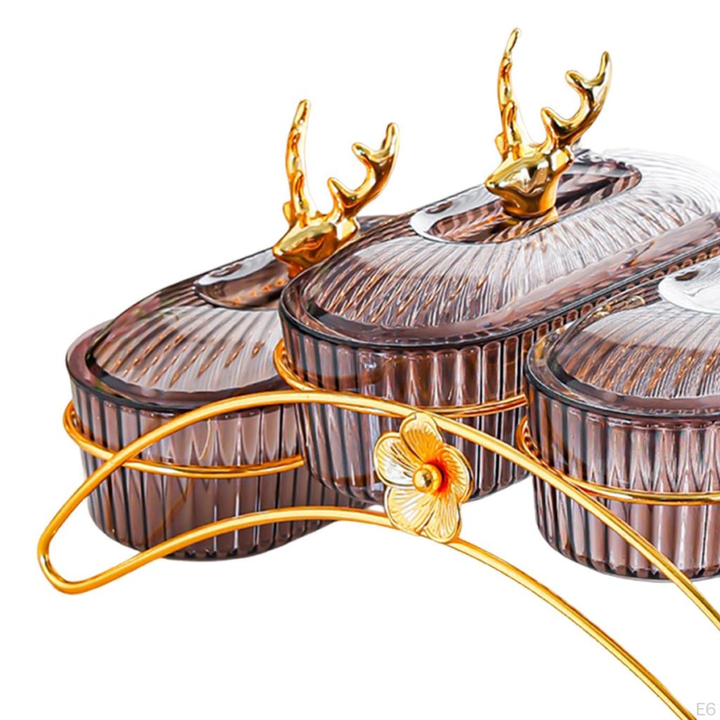 Dried Fruit Dish Nuts Platter with Lid Bowl Holder Snack Plates Serving Tray for