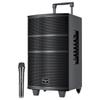 Newmine L23 Portable Outdoor Karaoke Speaker (CN Version)