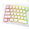 Bound Gaming, Illuminated Mechanical Computers with 69 Keys And USB, Rainbow Backlight