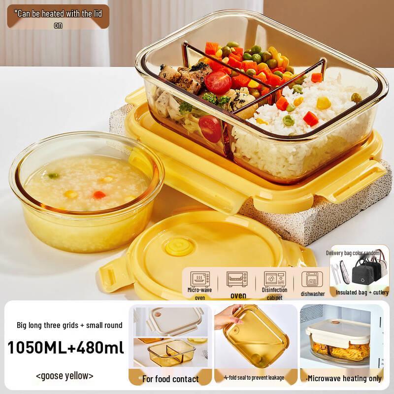 ZISIZ Glass Lunch Box Set with Insulated Bag