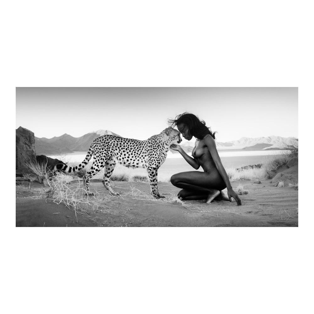 

Черная женщина с гепардом. Постеры и принты на холсте. Пейзажи с дикими животными. Картины на холсте на стене. Искусство Скандинавии. Картины 40x80cm