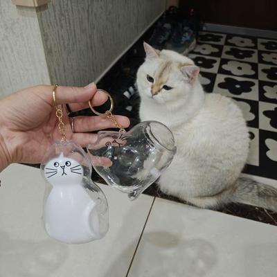 Upgraded Large Cat Hair Storage Keychain Cat Fur Storage Bottle Transparent Pet Hair Storage Box Bag Pendant Pet Memorial Gifts