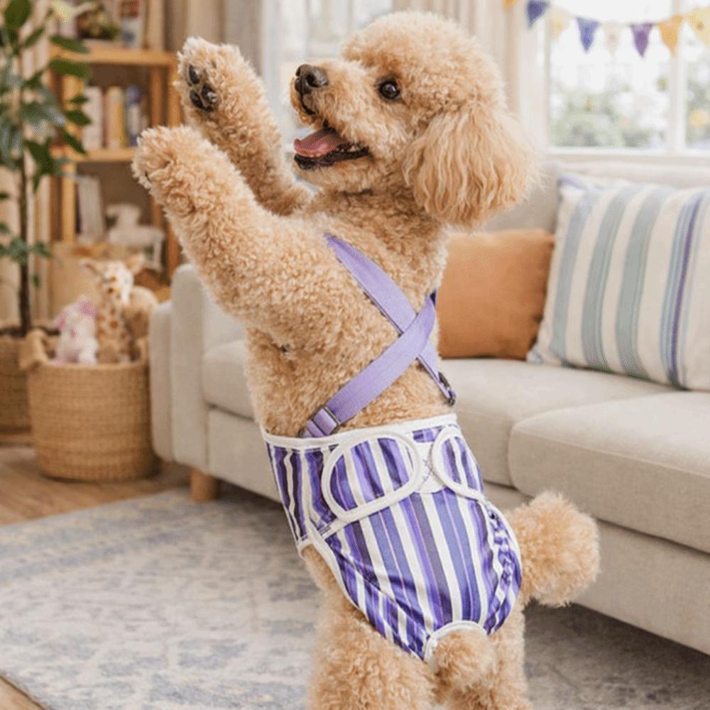 Striped Design Dog Diaper Suspenders Washable Pet Physiological Pants Puppies Period