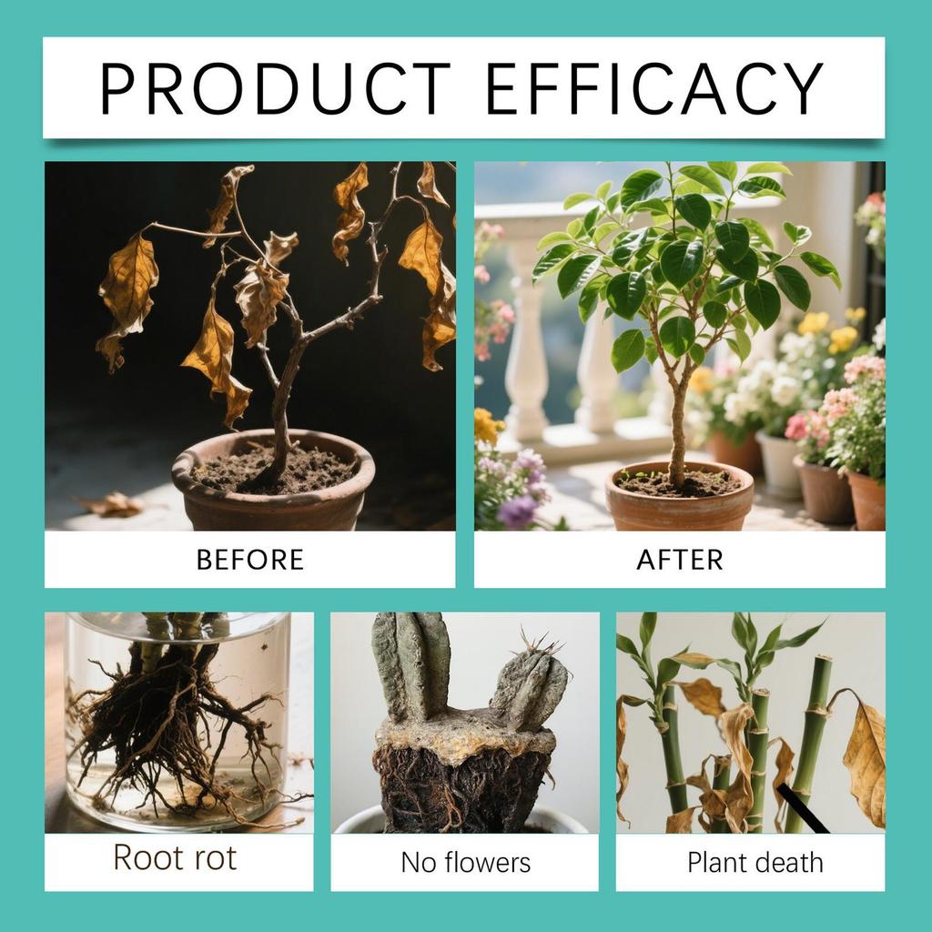 6*15ml Hydroponic Plant Nutrient Solution For Rich Bamboo Green Dill Copper Money Grass Growth Nutrient Solution