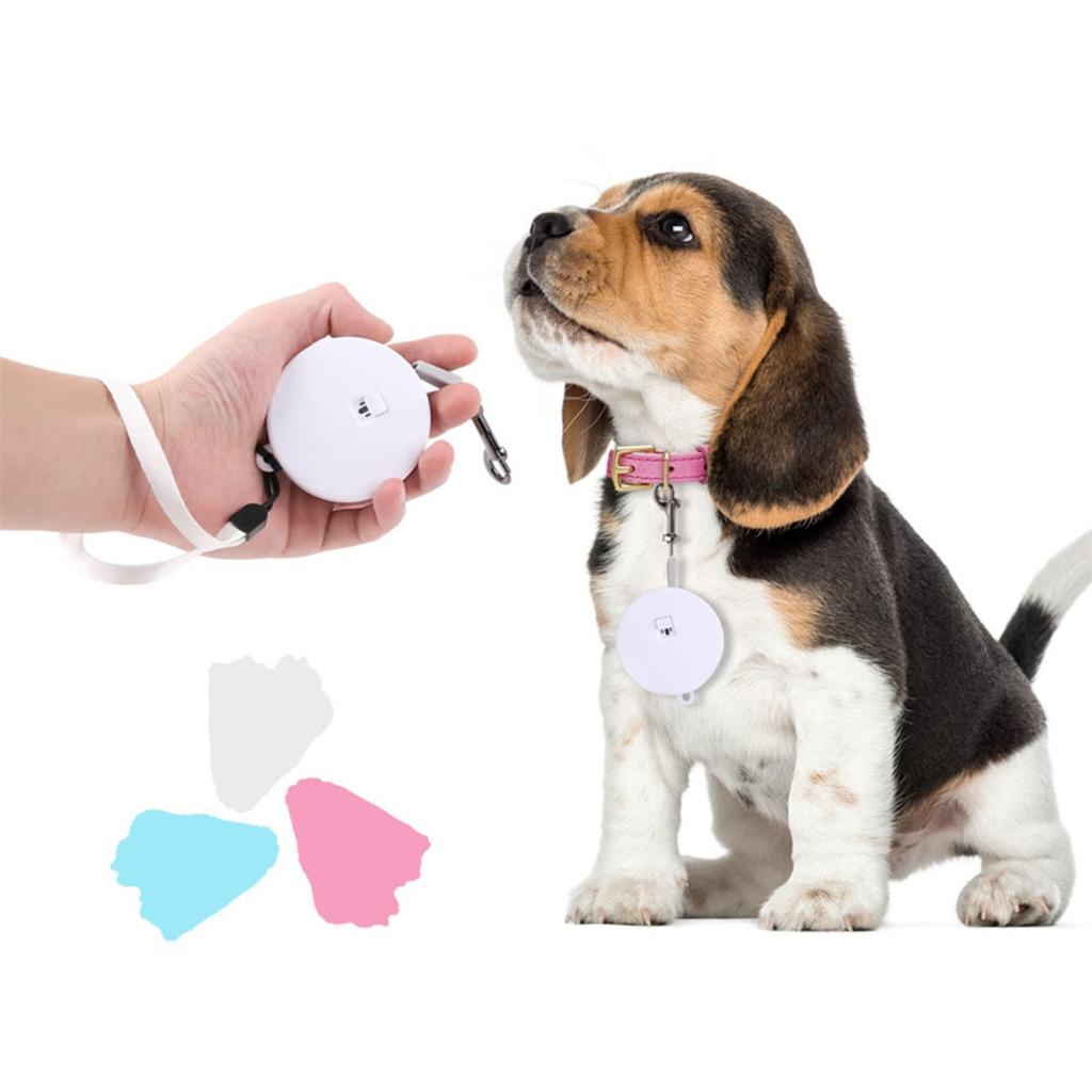 Retractable Dog Leash Automatic Freely  Puppy Cat Traction Rope Belt Dog Leash for Puppy and Kitty Pet Leash