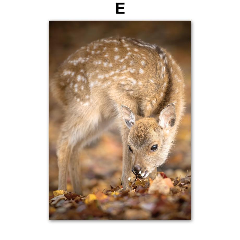 Herbst Ländlichen Kürbis Deer Wald Nordic Poster Und Drucke Wand Kunst Leinwand Malerei Bilder Für Wohnzimmer Dekoration