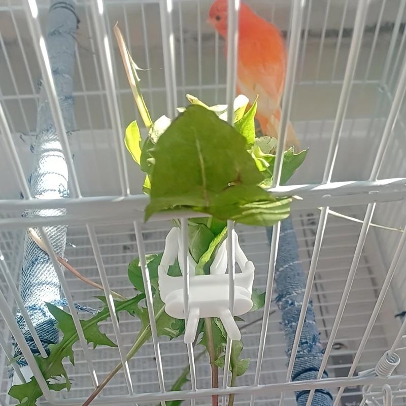 Pet Bird Feeder Clips Parakeet Fruit & Veggie Clips, PP Material, Bird Cage Accessories