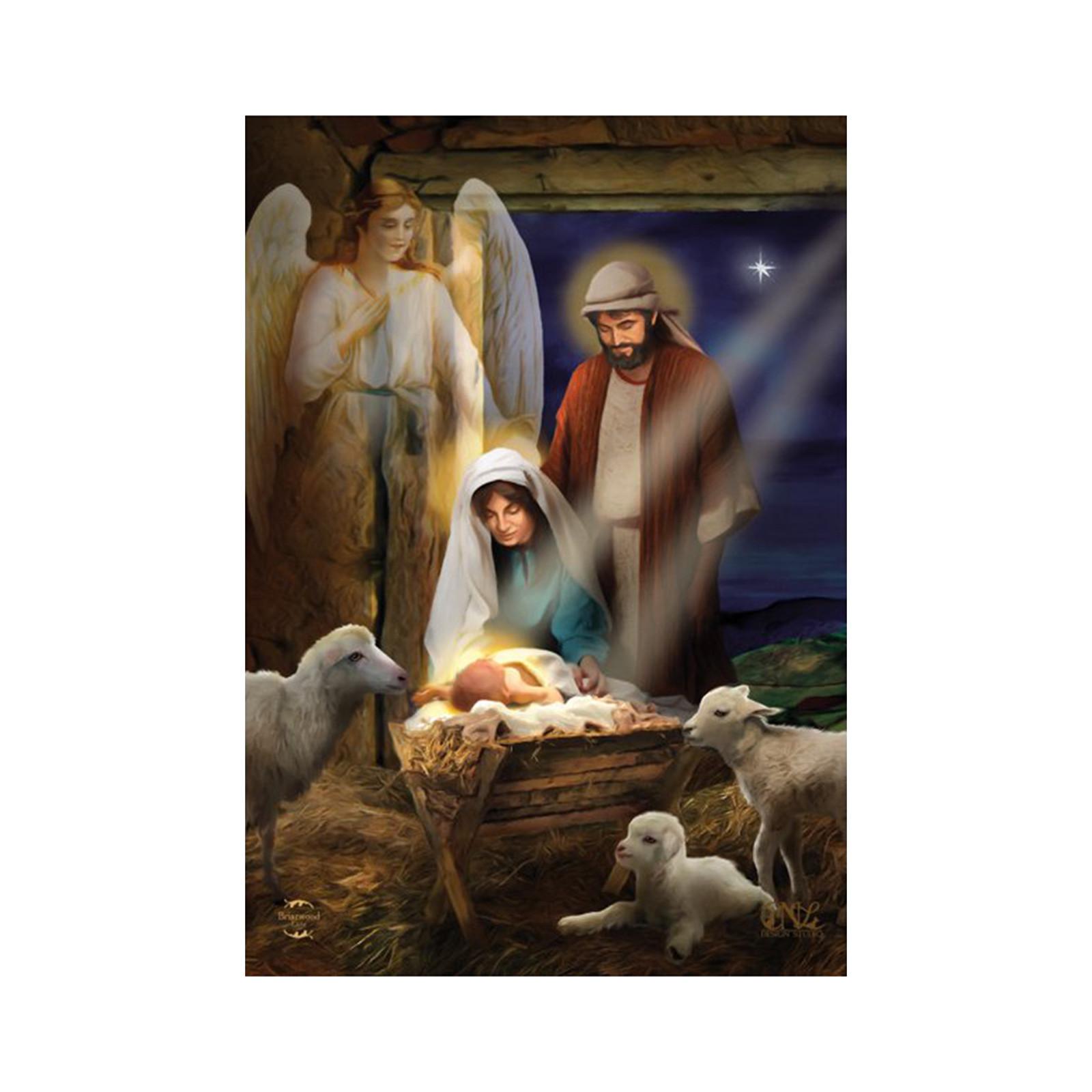 

Рождество День рождения Рождественский сад Флаг Религия Иисус-сад Открытый домашний сад Декоративный сад One Size