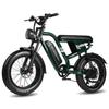 MAXTURN MX10 Elektrisches Mountainbike mit 48V 13,5Ah Akku, Shimano 7-Gang
