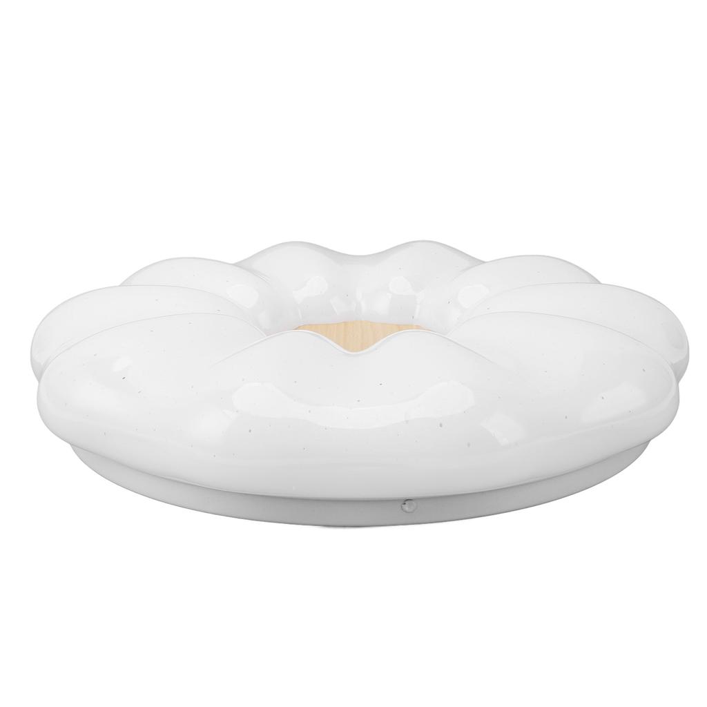 Flush Mount Ceiling Light Modern Ceiling Lamp 3 Color Temperature Dimmable Remote Control for