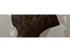 Genuine Leather French Retro Ankle Boots for Women - 2025 Autumn/Winter, Pointed Toe Wedge Heel, Soft Leopard Print Sole.