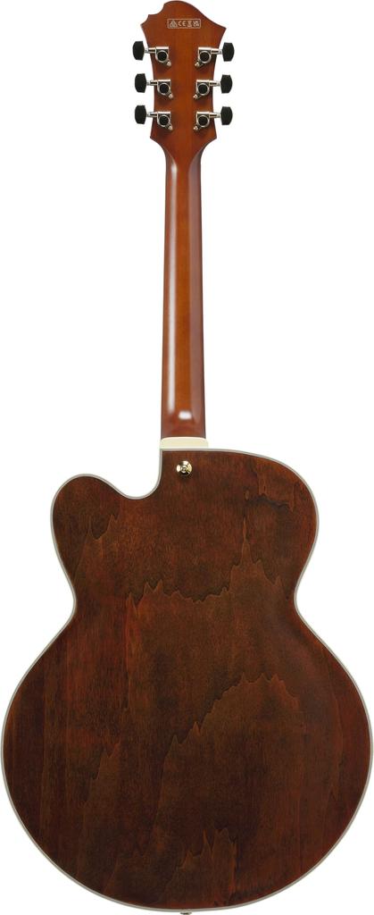 IBANEZ Modello Pat Metheny Ambra Naturale Bassa Lucentezza Acustica PM3C-NAL (Chitarra Completa)