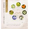 Official Product ImPINCH Serum Firmness Fermented Extract Dry Skin High Moisture Anti-Aging Care Eye Area Mouth Wrinkles 60ml 2 Months Supply