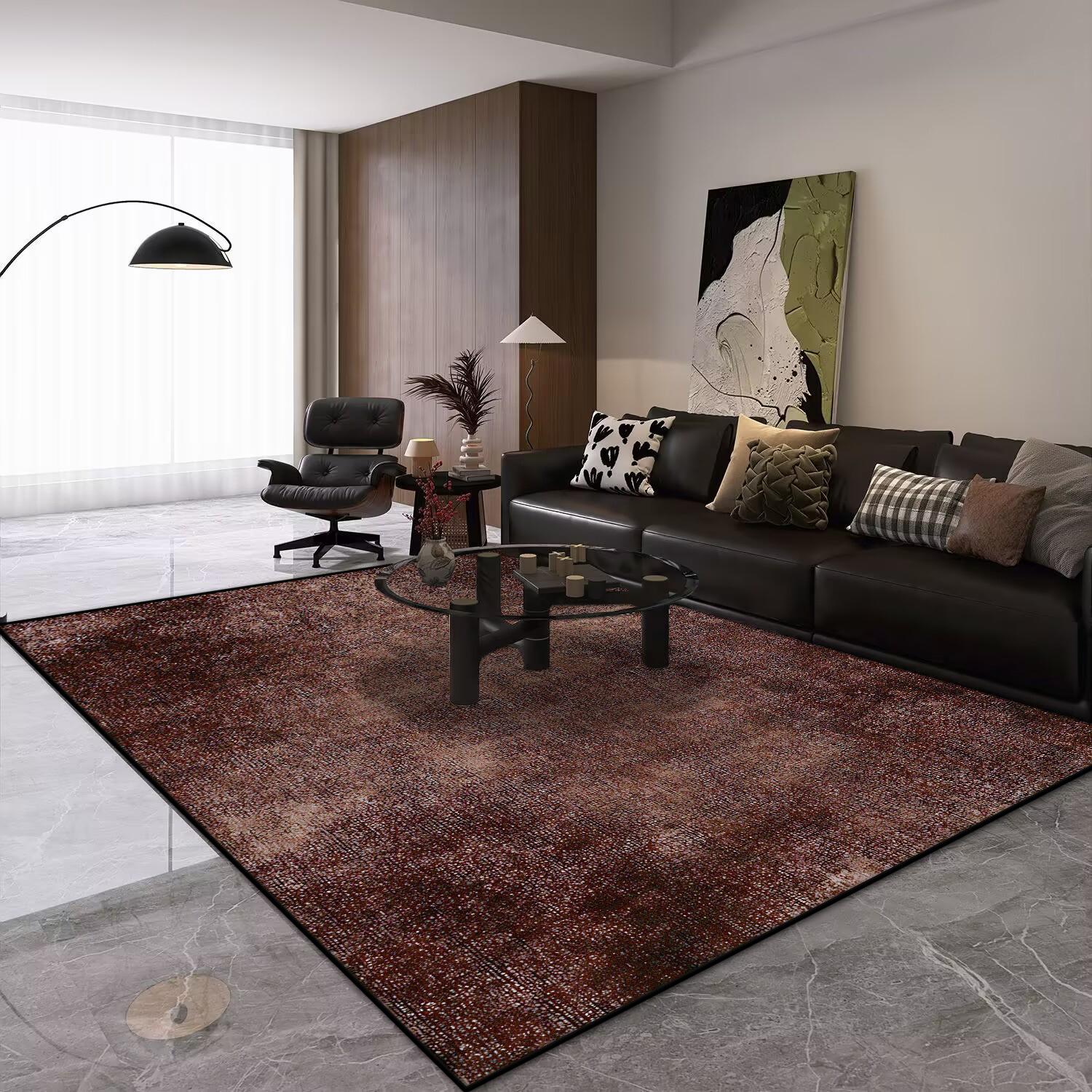 

Modern Grey Large Carpet Easy Clean Soft Washable Luxury Rugs for Living Room Bedroom Home Decoration Floor Mat 60*90cm