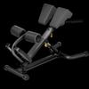 Zhuoyuan Yuedong Adjustable Roman Chair and Hyperextension Bench