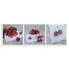 Canvas Print Cherries Fruits