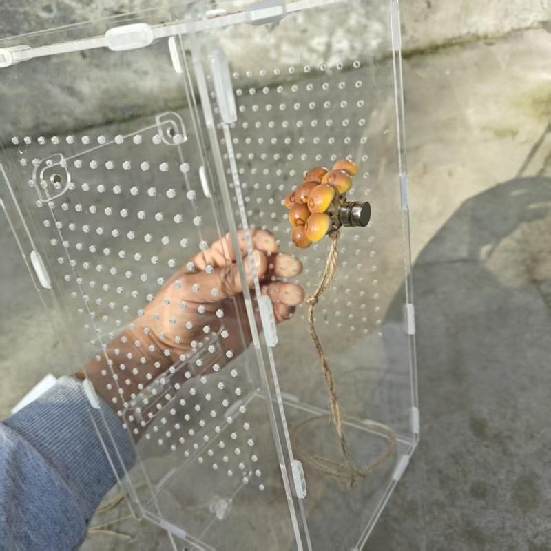 Jumping Spiders Platform Magnetic Perch Mushroom Shape Shelf Terrarium Habitat Decors Decorative Nest Perch