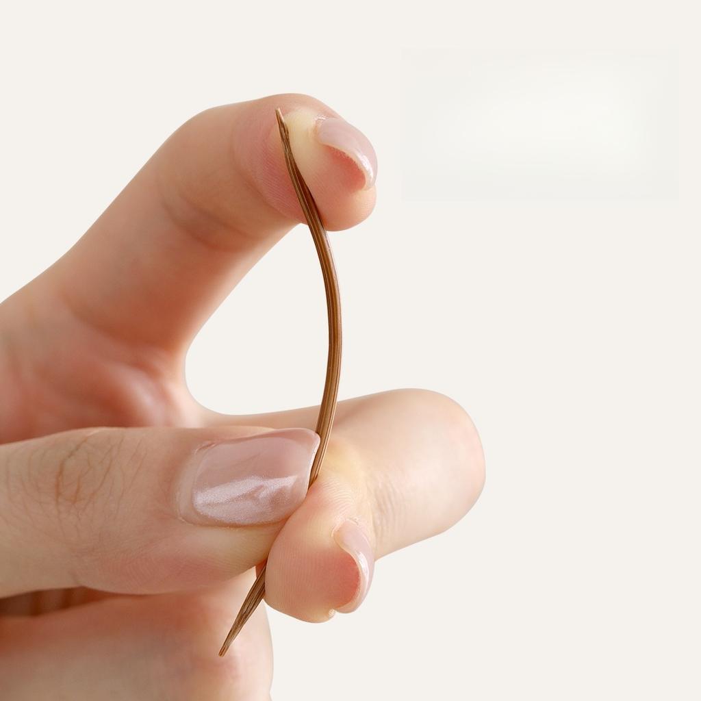 Bamboo Carbonized Toothpicks Disposable Double Taper Tips Portable Natural Fine Fruit Skewers for Home Use Bamboo Sticks