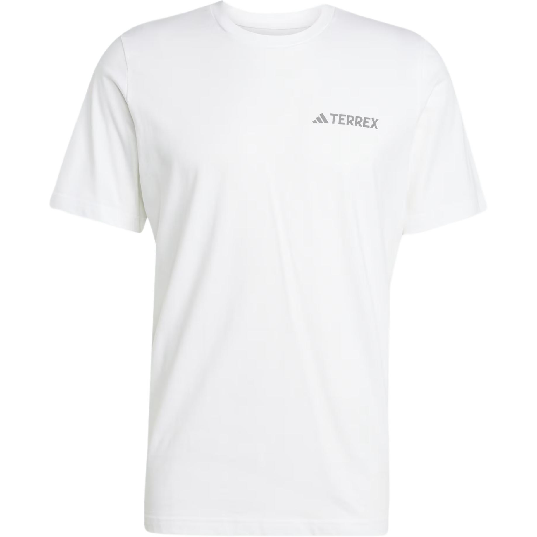 adidas TERREX Men s Graphic Short Sleeve T-Shirt White JW3559 M