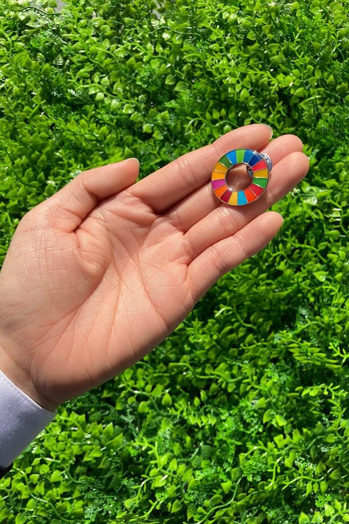 United Nations Official System SDGs Badge 25mm Silver Rounded Finish SDGs Badge Pin Badge SDGs Perfect for Hats and Bags Cute 3 Clasps Included