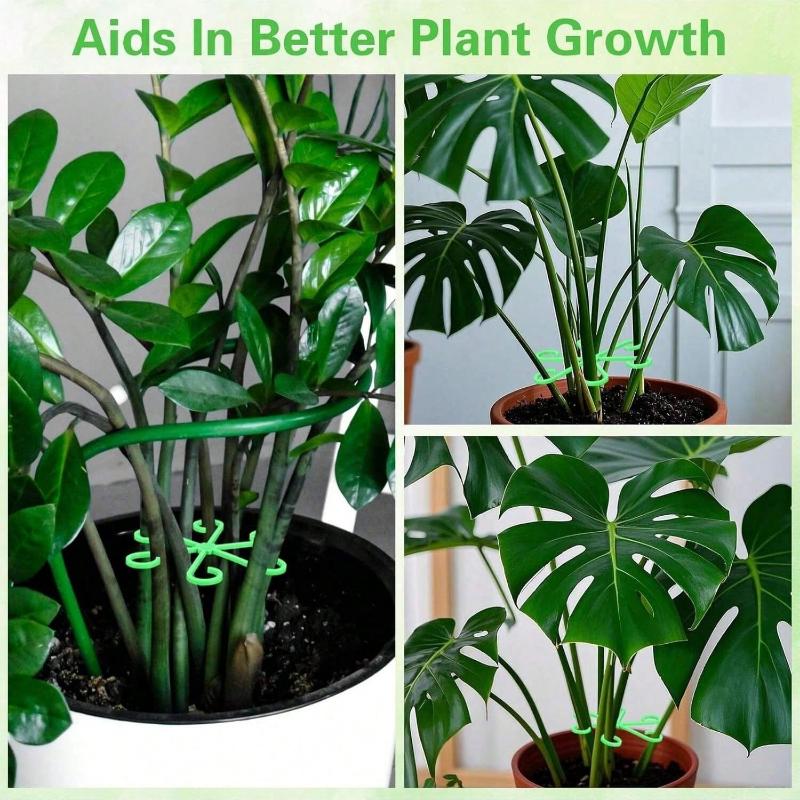 4pcs Of Plant Support Clips,Plant Support Fasteners,Sturdy Stem Clamps For Climbing Plants - Plastic Material,Or Indoor Climbing Plants Plant Supports