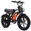 Elektrofahrrad Avdl A50 250W Motor Doppelscheibenbremsen 7 Gänge 20" Fat Tire Erwachsenen Elektro-Mountainbike 48V 15,6Ah Max. Last 150 kg