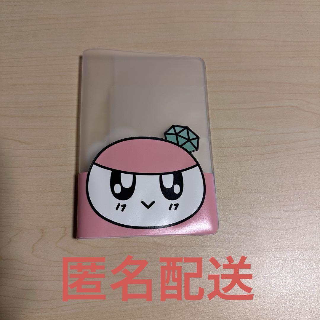 

[USED] SEVENTEEN Bonboni x Musik Tiger Passport Case